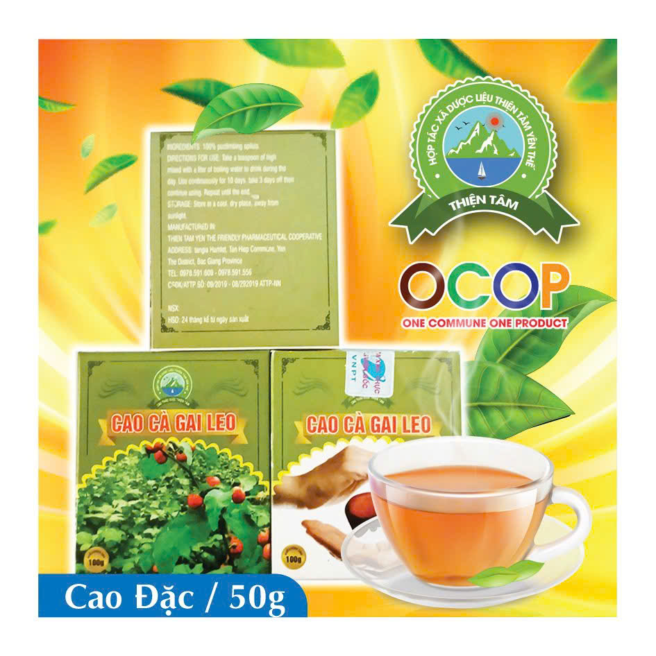1 HỘP CAO CÀ GAI LEO /cao đặc loại 50g